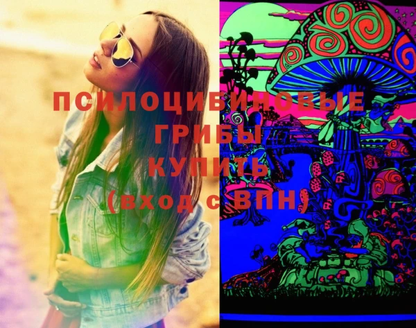 мдпв Лагань