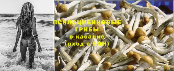 трава Магас