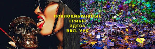 PSILOCYBIN Магадан