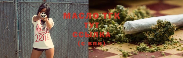 мдпв Лагань
