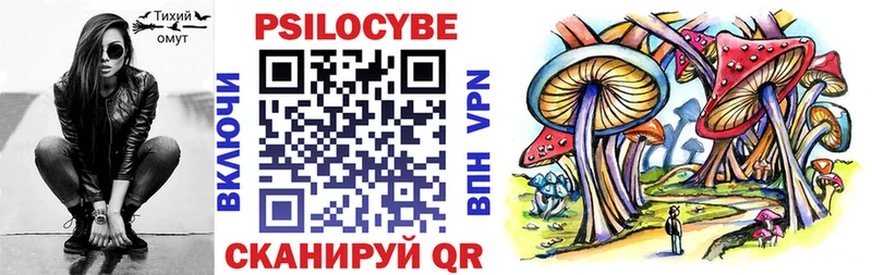 Псилоцибиновые грибы GOLDEN TEACHER  купить  цена  Котельнич 